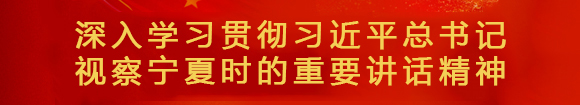 深入學習貫徹習近平總書記 視察寧夏時的重要講話精神